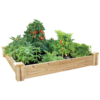 raised-garden-bed.pg_ - Desert Gardening 101