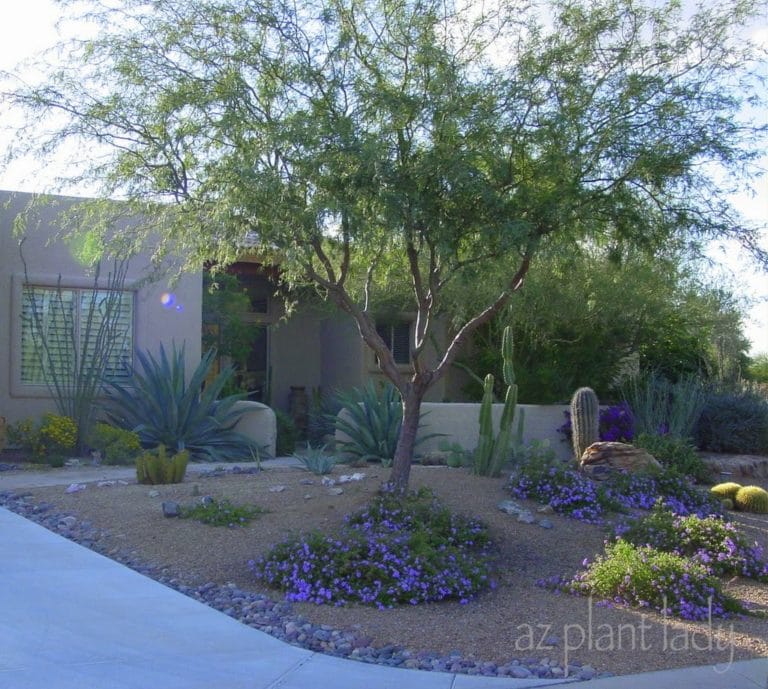 Sustainable Landscaping New Ideas | azplantlady.com