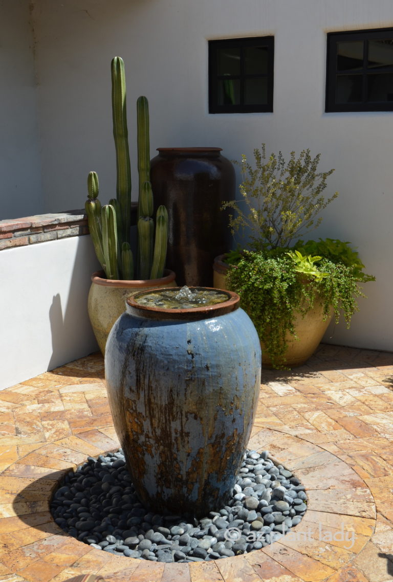 Give Water Features New Life With Succulents | azplantlady.com