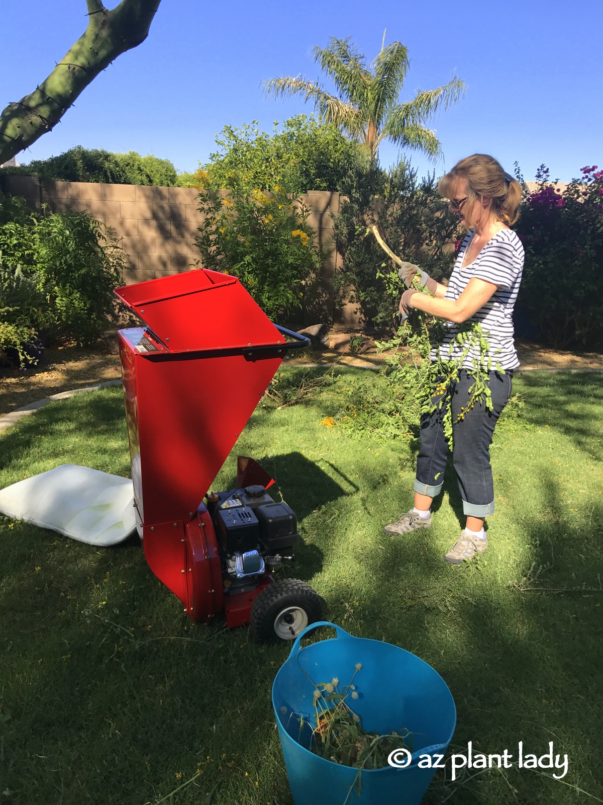 PRODUCT REVIEW: A MACHINE TO MAKE GORGEOUS COMPOST AND FREE MULCH