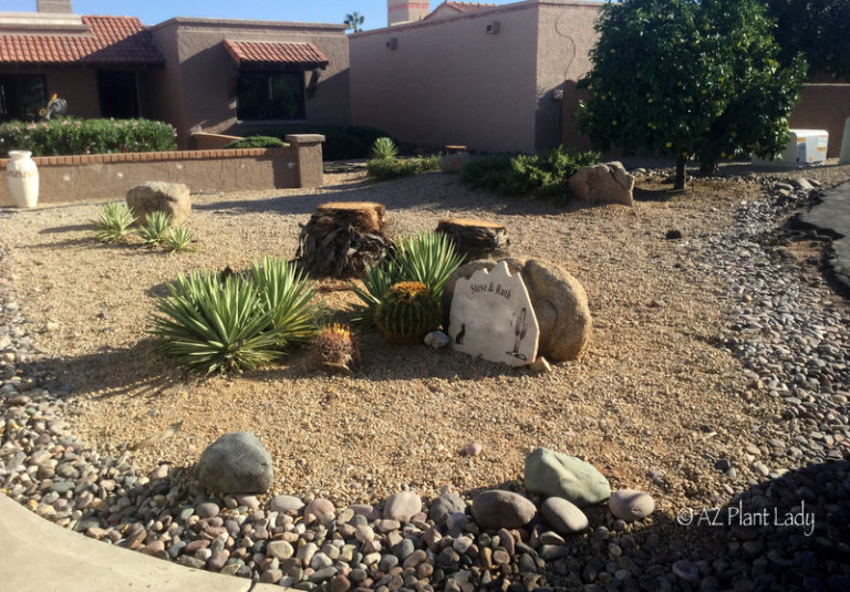 Landscape Design Archives - Desert Gardening 101