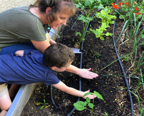 gardening-with-children-planting-a-seed