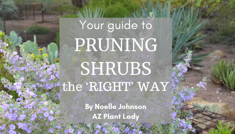 Online shrub pruning course